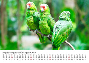 Edition Seidel Premium Kalender Die Welt der Papageien 2024 Format DIN A3 Wandkalender Tierkalender Vogelkalender Papagei Kakadu bunte Vögel