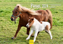 Laden Sie das Bild in den Galerie-Viewer, Edition Seidel Premium Kalender Ponys International 2024 Format DIN A3 Wandkalender Tierkalender Pferdekalender Pony Fohlen Stute Hengst Islandpferd
