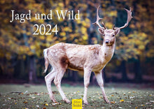 Laden Sie das Bild in den Galerie-Viewer, Edition Seidel Premium Kalender Jagd und Wild 2024 Format DIN A3 Wandkalender Tierkalender Wildtier Waldtier Wild Fuchs Hirsch Wildschwein Ente Wald Jagd Revier
