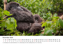 Laden Sie das Bild in den Galerie-Viewer, Edition Seidel Premium Kalender Faszination Gorillas 2024 Format DIN A3 Wandkalender Tierkalender Afrika Regenwald Affen Primaten Wildtiere Waldtiere
