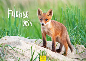 Edition Seidel Premium Kalender Füchse 2024 Format DIN A3 Wandkalender Tierkalender Fuchs Tiere Wildtiere Waldtiere