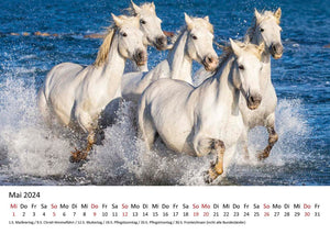 Edition Seidel Premium Kalender Faszination Pferde 2024 DIN A3 Wandkalender Pferdekalender Tiere Pferde Pony Stute Fohlen Natur Landschaft Sonne Strand Weide Koppel Meer