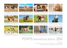 Laden Sie das Bild in den Galerie-Viewer, Edition Seidel Premium Kalender Ponys International 2024 Format DIN A3 Wandkalender Tierkalender Pferdekalender Pony Fohlen Stute Hengst Islandpferd
