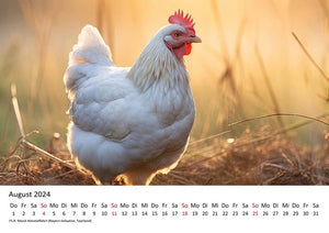 Edition Seidel Premium Kalender Hühner 2024 Format DIN A3 Wandkalender Tierkalender Hühnerkalender Haustiere Huhn Hahn Kücken Vögel