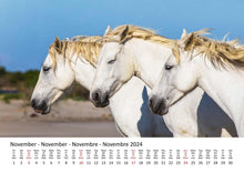 Laden Sie das Bild in den Galerie-Viewer, Edition Seidel Premium Kalender Pferde 2024 Format DIN A3 Wandkalender Pferdekalender Tiere Pferd Pony Stute Hengst Fohlen
