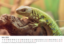 Laden Sie das Bild in den Galerie-Viewer, Edition Seidel Premium Kalender Eidechsen 2024 Format DIN A3 Wandkalender Eidechsenkalender Weltweit Eidechse Riesenechse Waran Schuppenkriechtier Farbwechsler
