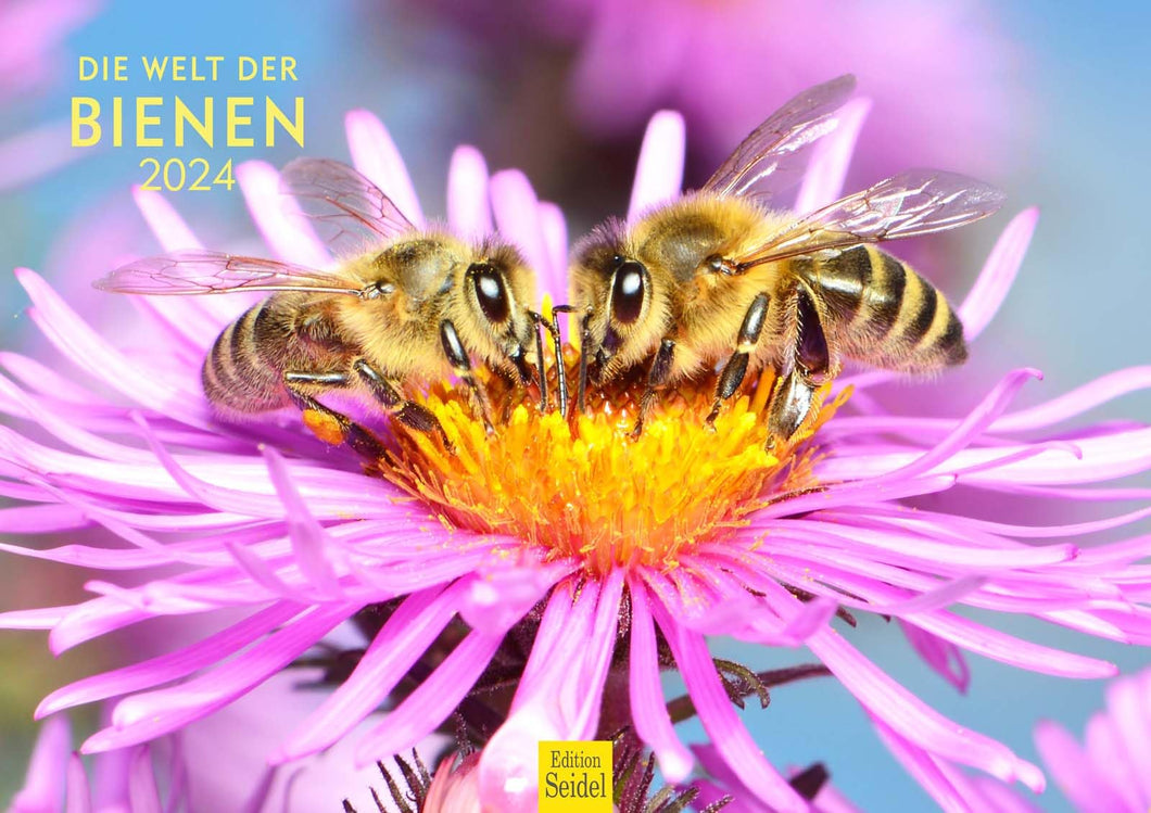 Edition Seidel Premium Kalender Die Welt der Bienen 2024 Format DIN A3 Wandkalender Bienenkalender Biene Insekten Feld Wiese Wald Blume Blüten Honig