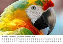 Laden Sie das Bild in den Galerie-Viewer, Edition Seidel Premium Kalender Papageien 2024 Format DIN A3 Wandkalender Papageikalender Papagei Kakadu Vögel Tiere Natur

