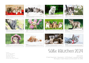 Edition Seidel Premium Kalender Süße Kätzchen 2024 Format DIN A3 Wandkalender Katzenkalender Tiere Katzenkinder Kater Kitten Haustiere