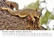 Laden Sie das Bild in den Galerie-Viewer, Edition Seidel Premium Kalender Eichhörnchen 2024 Format DIN A3 Wandkalender Tierkalender Wildtiere Waldtiere heimische Tiere
