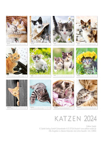 Edition Seidel Premium Kalender Katzen 2024 Format DIN A3 Wandkalender Katzenkalender Katze Kätzchen Tiere