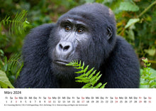 Laden Sie das Bild in den Galerie-Viewer, Edition Seidel Premium Kalender Faszination Gorillas 2024 Format DIN A3 Wandkalender Tierkalender Afrika Regenwald Affen Primaten Wildtiere Waldtiere
