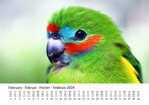 Edition Seidel Premium Kalender Papageien 2024 Format DIN A3 Wandkalender Papageikalender Papagei Kakadu Vögel Tiere Natur