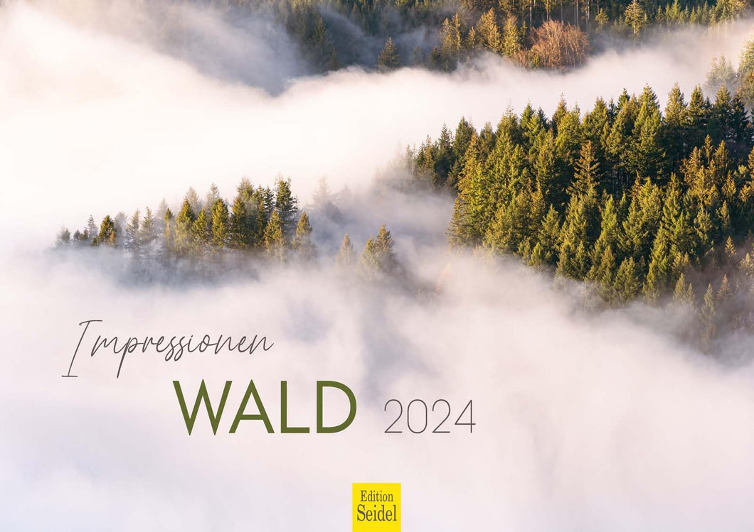 Edition Seidel Premium Kalender Impressionen Wald 2024 Format DIN A3 Wandkalender Naturkalender Natur Bäume Wälder Wasserfall Wiese Laub Waldsee Farn Moos