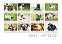 Laden Sie das Bild in den Galerie-Viewer, Edition Seidel Premium Kalender Möpse 2024 Format DIN A3 Wandkalender Hundekalender Mops Hund Welpe Hunderasse Haustier
