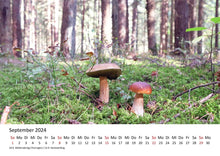 Laden Sie das Bild in den Galerie-Viewer, Edition Seidel Premium Kalender Impressionen Wald 2024 Format DIN A3 Wandkalender Naturkalender Natur Bäume Wälder Wasserfall Wiese Laub Waldsee Farn Moos
