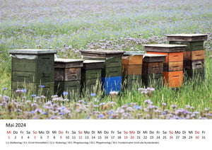 Edition Seidel Premium Kalender Die Welt der Bienen 2024 Format DIN A3 Wandkalender Bienenkalender Biene Insekten Feld Wiese Wald Blume Blüten Honig