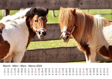 Laden Sie das Bild in den Galerie-Viewer, Edition Seidel Premium Kalender Ponys International 2024 Format DIN A3 Wandkalender Tierkalender Pferdekalender Pony Fohlen Stute Hengst Islandpferd
