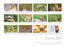 Laden Sie das Bild in den Galerie-Viewer, Edition Seidel Premium Kalender Füchse 2024 Format DIN A3 Wandkalender Tierkalender Fuchs Tiere Wildtiere Waldtiere
