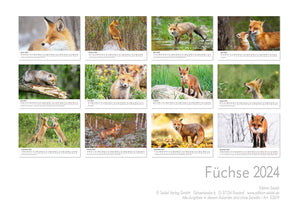 Edition Seidel Premium Kalender Füchse 2024 Format DIN A3 Wandkalender Tierkalender Fuchs Tiere Wildtiere Waldtiere