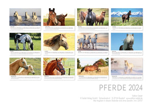 Edition Seidel Premium Kalender Pferde 2024 Format DIN A4 Wandkalender Pferdekalender Fohlen Stute Hengst Pony Tiere