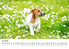 Laden Sie das Bild in den Galerie-Viewer, Edition Seidel Premium Kalender Welpen 2024 Format DIN A3 Wandkalender Hundekalender Weltweit Hund Welpe Hunderasse Haustier
