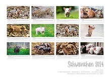 Laden Sie das Bild in den Galerie-Viewer, Edition Seidel Premium Kalender Schweinchen 2024 Format DIN A3 Wandkalender Tierkalender Tiere Schwein Ferkel Frischling Wildschwein heimische Säugetiere
