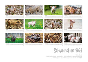 Edition Seidel Premium Kalender Schweinchen 2024 Format DIN A3 Wandkalender Tierkalender Tiere Schwein Ferkel Frischling Wildschwein heimische Säugetiere