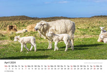 Laden Sie das Bild in den Galerie-Viewer, Edition Seidel Premium Kalender Meine Lieblingsinsel Sylt 2024 Format DIN A3 Wandkalender Deutschland Ostfriesland Nordsee Küste Meer Strand Insel Christian Müringer
