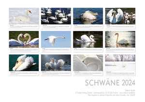 Edition Seidel Premium Kalender Schwäne 2024 Format DIN A3 Wandkalender Vogelkalender Schwan Küken Wasservögel Vögel Wildvögel Wildtiere