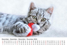 Laden Sie das Bild in den Galerie-Viewer, Edition Seidel Premium Kalender Süße Kätzchen 2024 Format DIN A3 Wandkalender Katzenkalender Haustiere Katzen Kinder Katze Kater Kitten
