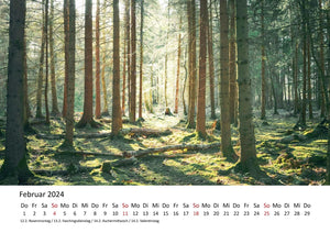 Edition Seidel Premium Kalender Impressionen Wald 2024 Format DIN A3 Wandkalender Naturkalender Natur Bäume Wälder Wasserfall Wiese Laub Waldsee Farn Moos