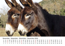 Laden Sie das Bild in den Galerie-Viewer, Edition Seidel Premium Kalender Esel 2024 Format DIN A3 Wandkalender Eselkalender Hausesel Stute Hengst Fohlen Säugetier Bauernhof
