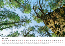 Laden Sie das Bild in den Galerie-Viewer, Edition Seidel Premium Kalender Impressionen Wald 2024 Format DIN A3 Wandkalender Naturkalender Natur Bäume Wälder Wasserfall Wiese Laub Waldsee Farn Moos
