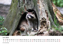 Laden Sie das Bild in den Galerie-Viewer, Edition Seidel Premium Kalender Jagd und Wild 2024 Format DIN A3 Wandkalender Tierkalender Wildtier Waldtier Wild Fuchs Hirsch Wildschwein Ente Wald Jagd Revier
