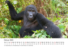 Laden Sie das Bild in den Galerie-Viewer, Edition Seidel Premium Kalender Faszination Gorillas 2024 Format DIN A3 Wandkalender Tierkalender Afrika Regenwald Affen Primaten Wildtiere Waldtiere
