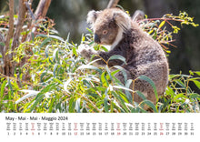 Laden Sie das Bild in den Galerie-Viewer, Edition Seidel Premium Kalender Koalas International 2024 Format DIN A3 Wandkalender Tierkalender Australien Koala Eukalyptus Wald Säugetier
