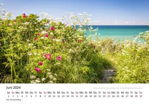 Edition Seidel Premium Kalender Deutschlands Naturparadiese 2024 Format DIN A3 Wandkalender Europa Deutschland Schleswig-Holstein Mecklenburg-Vorpommern Bayern Alpen Meer Küste Christian Müringer