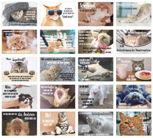 Laden Sie das Bild in den Galerie-Viewer, Edition Seidel Set 20 Katzen Postkarten mit lustigen Sprüchen - Karten mit Spruch - verrückte Katzen - Geburtstag - Motivation
