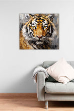 Laden Sie das Bild in den Galerie-Viewer, Edition Seidel Premium Wandbild Tiger Öl-Zeichnung auf hochwertiger Leinwand (60x60 cm) gerahmt. Leinwandbild Kunstdruck Bild stylish Wohnung Büro Loft Lounge Bar Galerie Lobby
