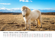 Laden Sie das Bild in den Galerie-Viewer, Edition Seidel Premium Kalender Ponys International 2024 Format DIN A3 Wandkalender Tierkalender Pferdekalender Pony Fohlen Stute Hengst Islandpferd
