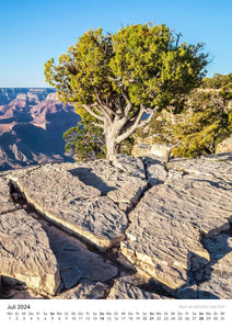 Edition Seidel Premium Kalender Grand Canyon Malerische Aussichten 2024 Format DIN A3 Wandkalender USA Arizona Natur Nationalpark Felsformationen Colorado River Melanie Viola