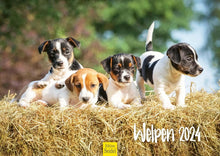 Laden Sie das Bild in den Galerie-Viewer, Edition Seidel Premium Kalender Welpen 2024 Format DIN A3 Wandkalender Hundekalender Weltweit Hund Welpe Hunderasse Haustier
