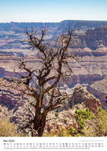 Laden Sie das Bild in den Galerie-Viewer, Edition Seidel Premium Kalender Grand Canyon Malerische Aussichten 2024 Format DIN A3 Wandkalender USA Arizona Natur Nationalpark Felsformationen Colorado River Melanie Viola
