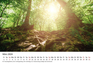 Edition Seidel Premium Kalender Impressionen Wald 2024 Format DIN A3 Wandkalender Naturkalender Natur Bäume Wälder Wasserfall Wiese Laub Waldsee Farn Moos