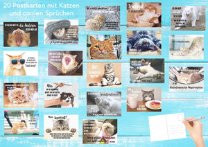 Edition Seidel Set 20 Katzen Postkarten mit lustigen Sprüchen - Karten mit Spruch - verrückte Katzen - Geburtstag - Motivation