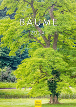 Laden Sie das Bild in den Galerie-Viewer, Edition Seidel Premium Kalender Bäume 2024 Format DIN A3 Wandkalender Naturkalender Jahreszeiten Baum Wald Laub Tanne Eiche Birke Ahorne Linde Kirschbaum Robinie Eukalyptus Walnuss Christian Müringer
