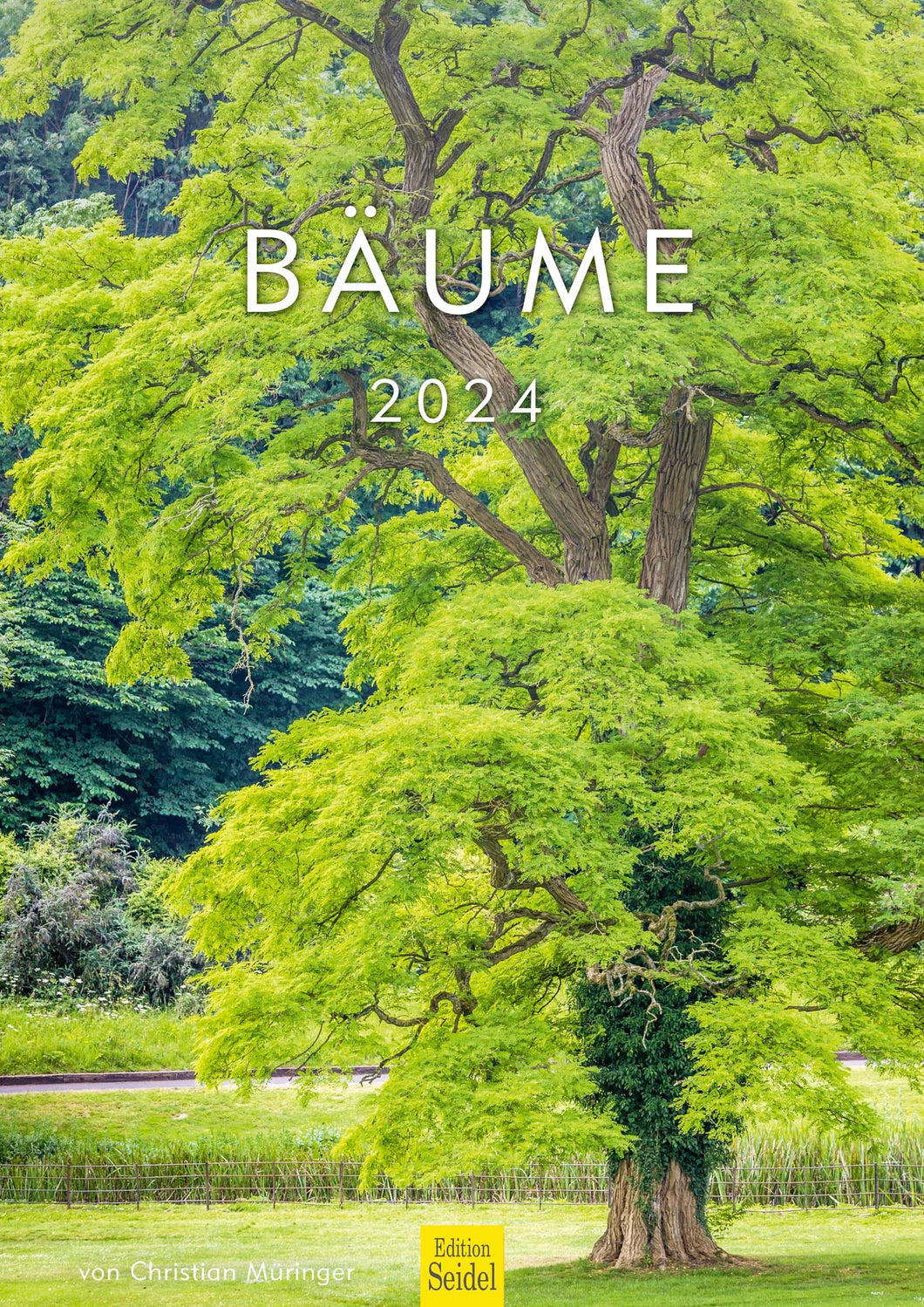 Edition Seidel Premium Kalender Bäume 2024 Format DIN A3 Wandkalender Naturkalender Jahreszeiten Baum Wald Laub Tanne Eiche Birke Ahorne Linde Kirschbaum Robinie Eukalyptus Walnuss Christian Müringer