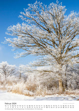 Laden Sie das Bild in den Galerie-Viewer, Edition Seidel Premium Kalender Bäume 2024 Format DIN A3 Wandkalender Naturkalender Jahreszeiten Baum Wald Laub Tanne Eiche Birke Ahorne Linde Kirschbaum Robinie Eukalyptus Walnuss Christian Müringer
