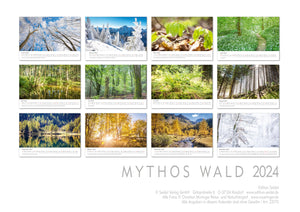 Edition Seidel Premium Kalender Mythos Wald 2024 Format DIN A3 Wandkalender Europa Deutschland Laubwald Mischwald Bärlauch Christian Müringer